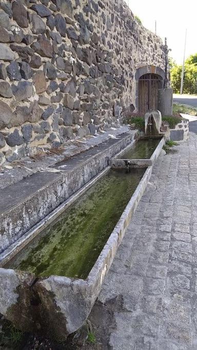 La Maisonnette Sous Le Cerisier Bergonne ภายนอก รูปภาพ