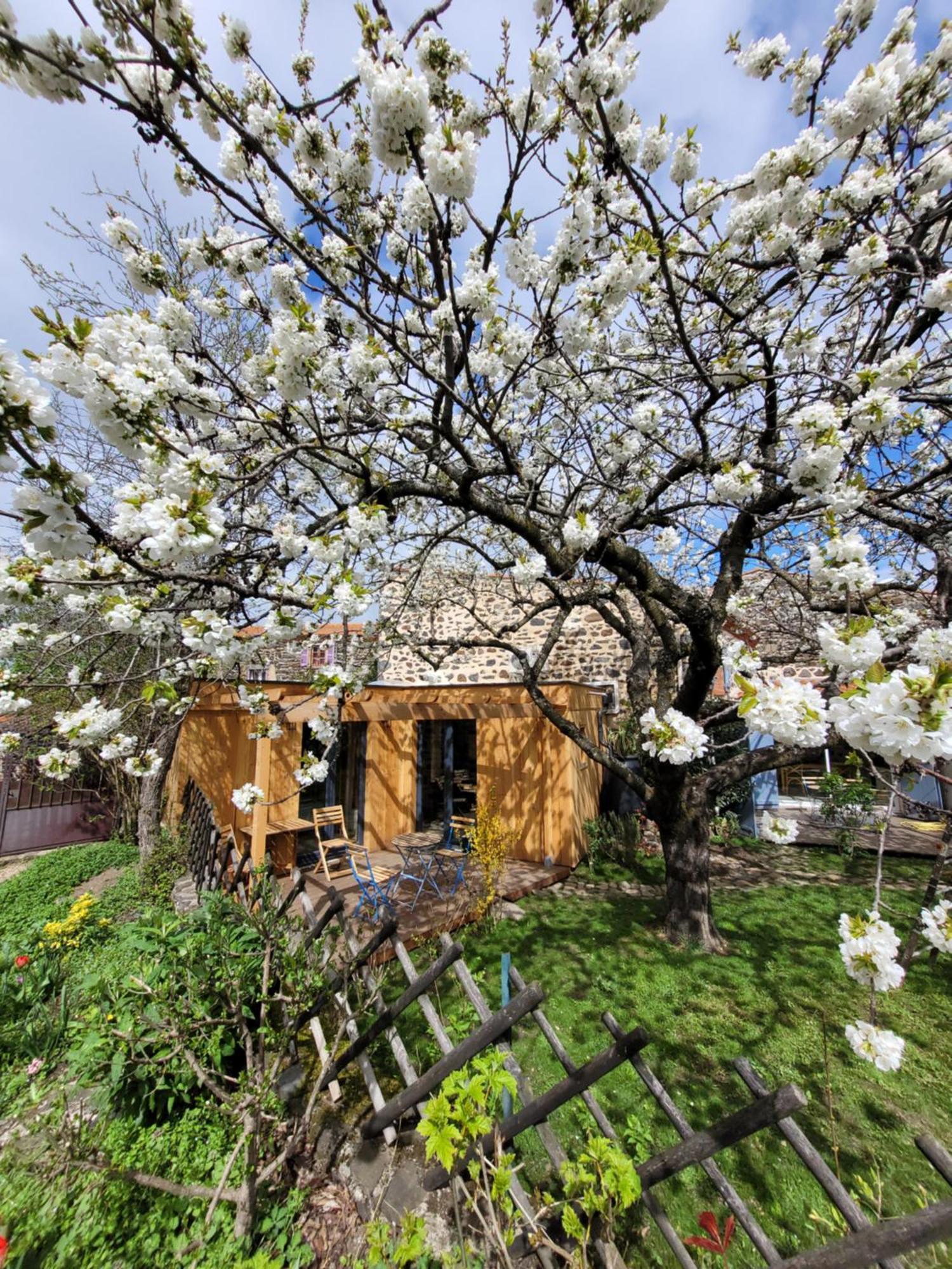 La Maisonnette Sous Le Cerisier Bergonne ภายนอก รูปภาพ